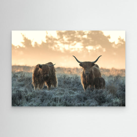Three Highlanders by Jaap Van Den Helm