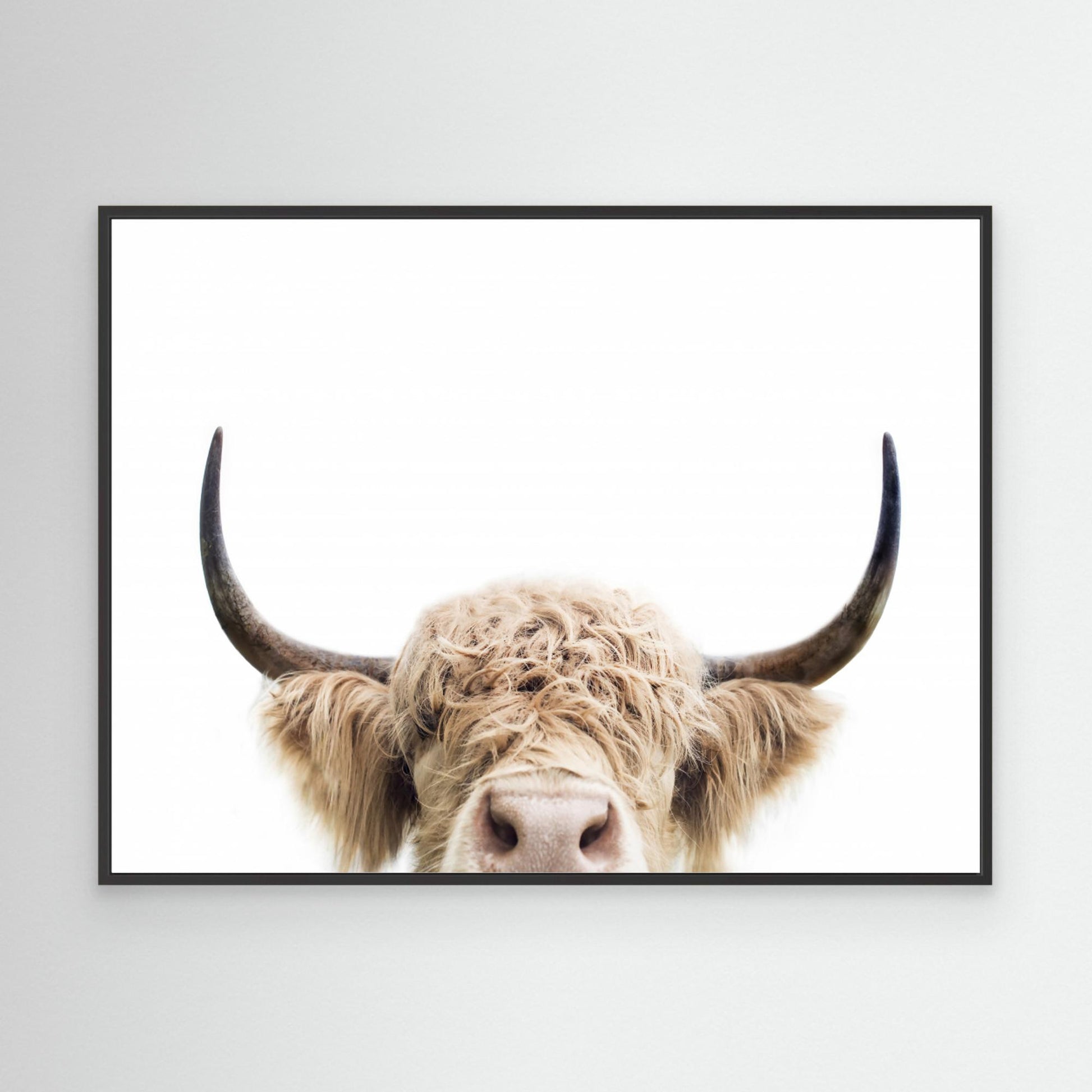 Peeking Cow by Kathrin Pienaar