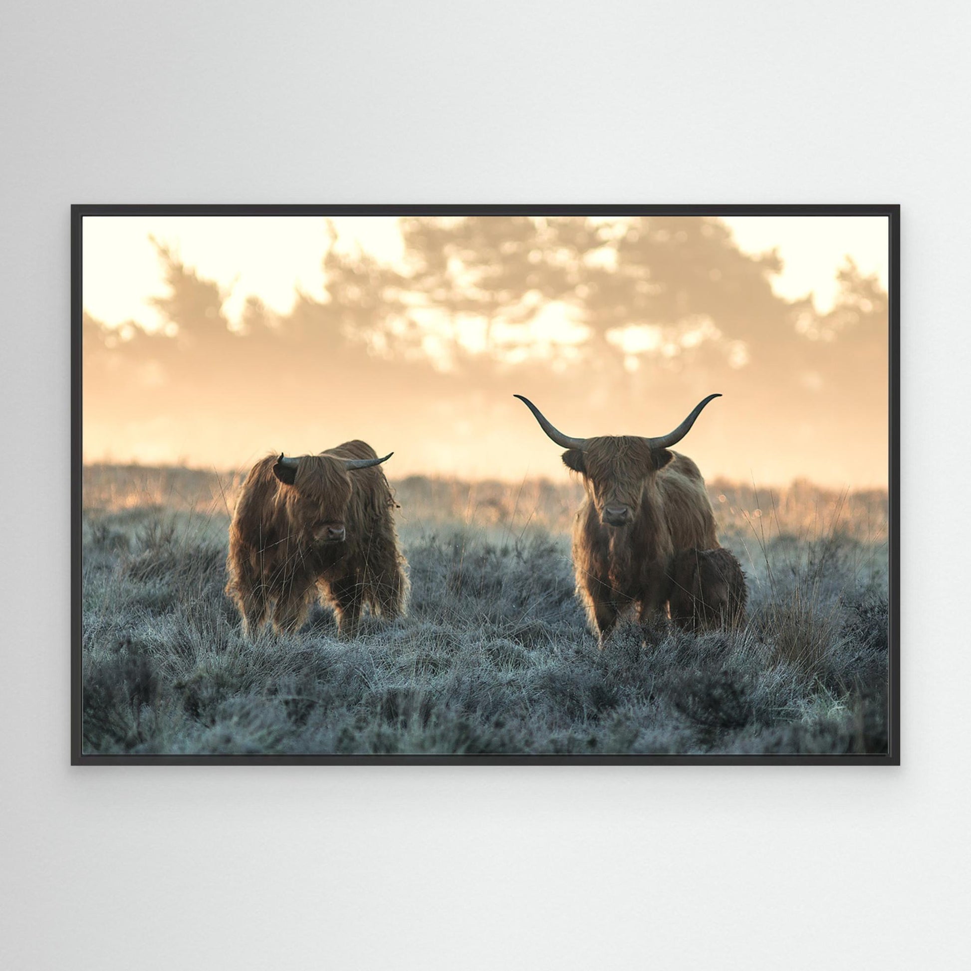 Three Highlanders by Jaap Van Den Helm
