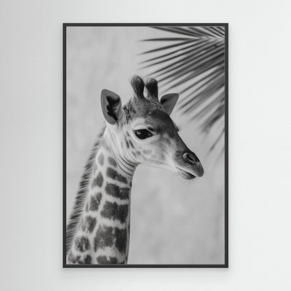 Young giraffe by Treechild