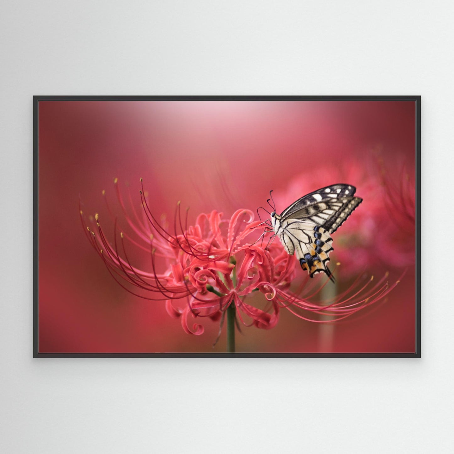 Perches gracefully by Takashi Suzuki