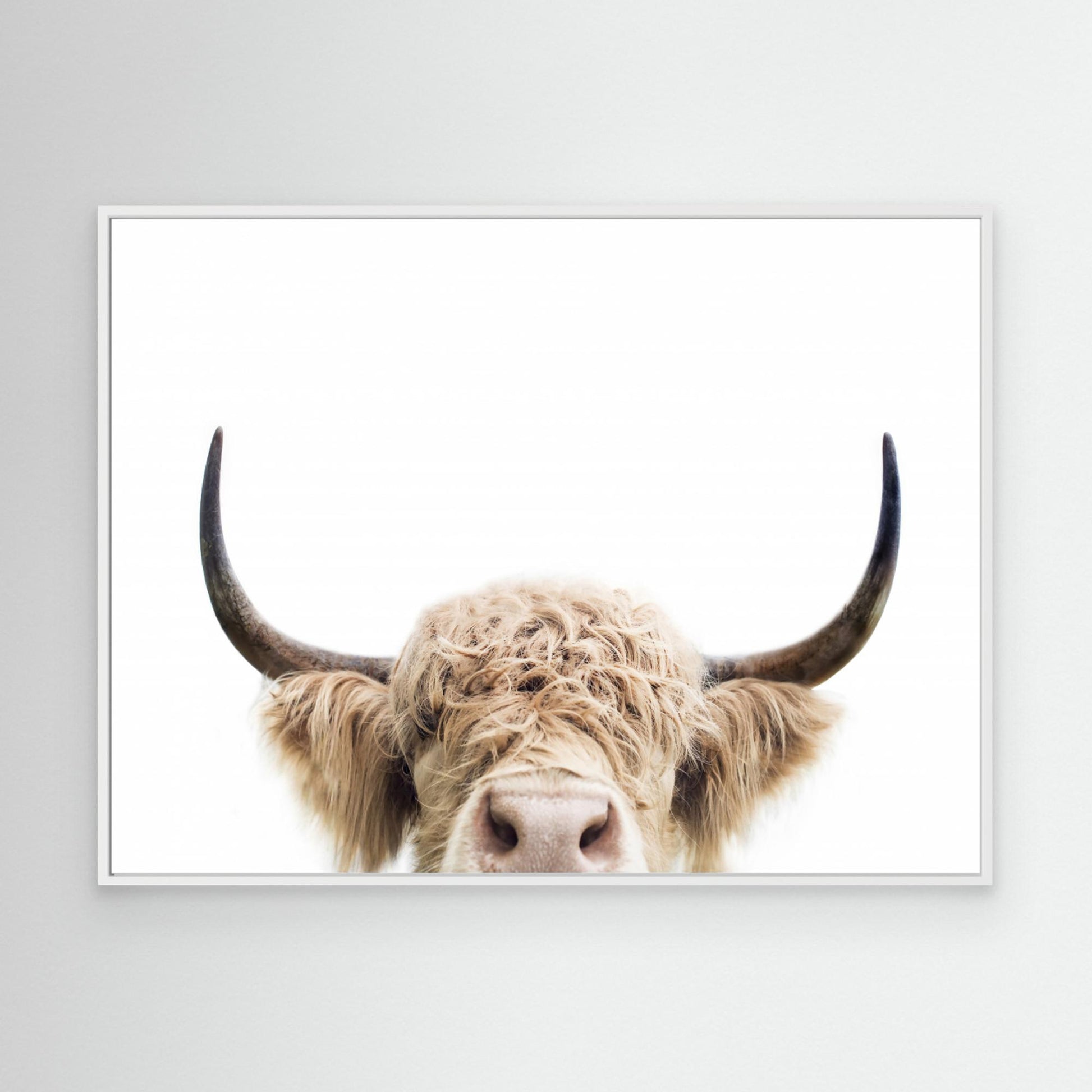 Peeking Cow by Kathrin Pienaar