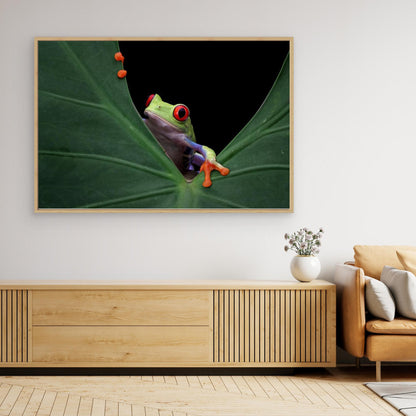 Peek a boo by Kurit Afsheen