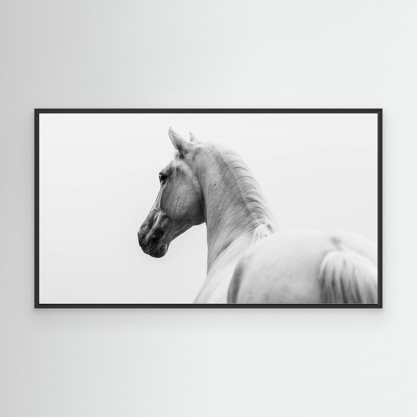 a short story about a shorn horse by Cembrzynski Ignacy