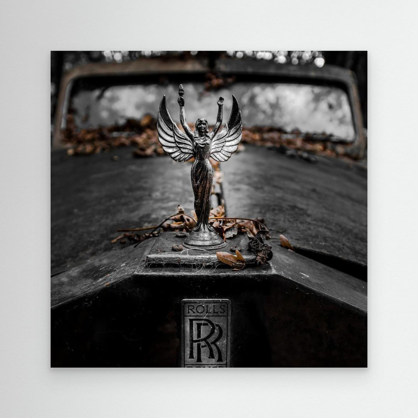 ... RR by Jörg  Vollrath