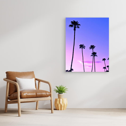 Palm Tree Sunset by Tom Windeknecht
