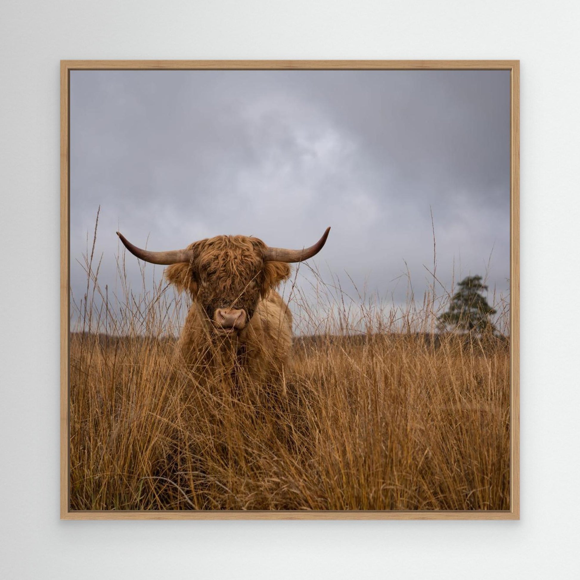 It wasn't me by Gert Van Den Bosch
