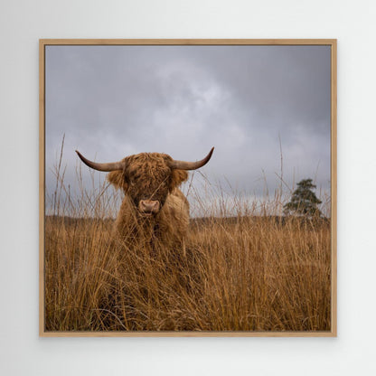 It wasn't me by Gert Van Den Bosch