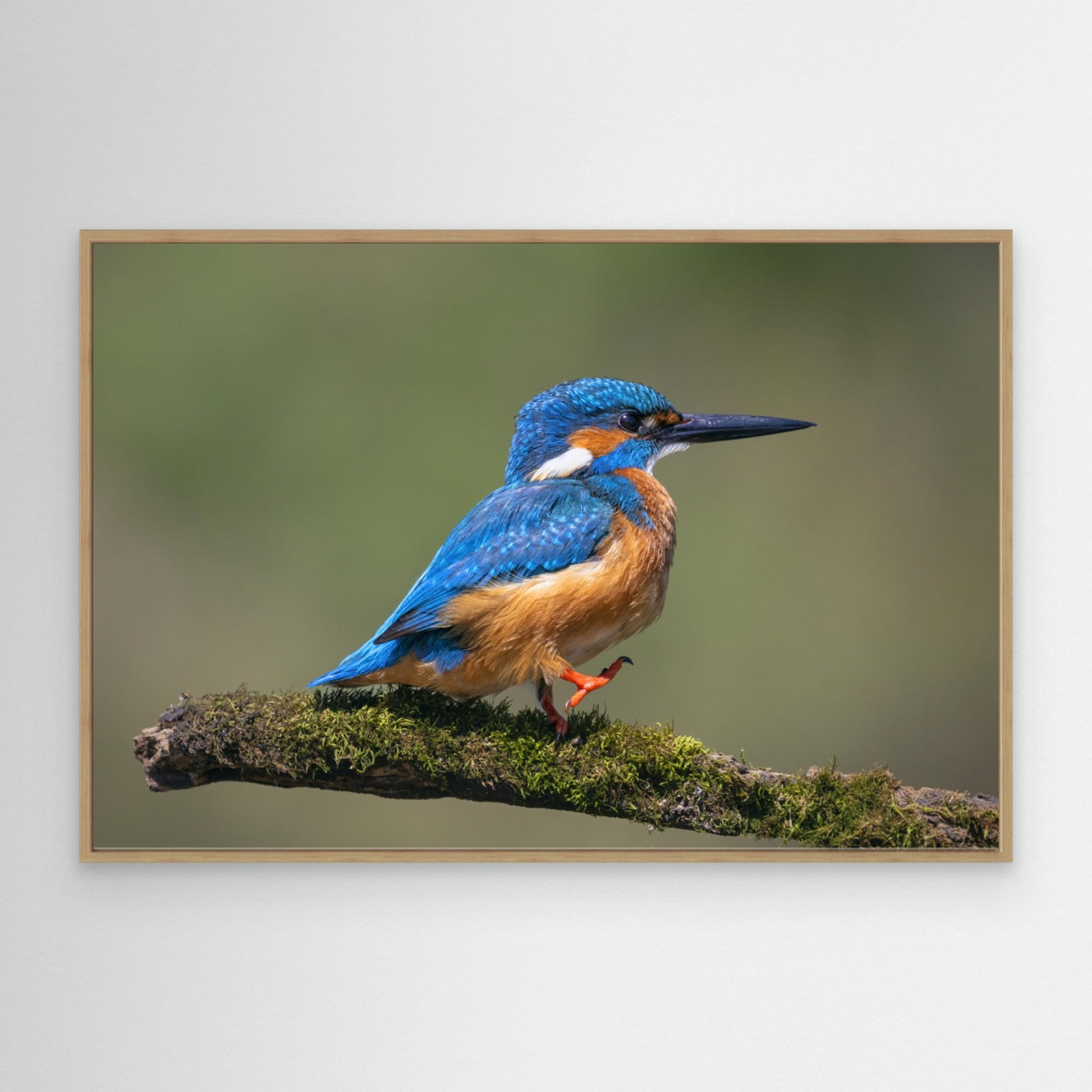 Left, right, left, right ... by Tony Goran