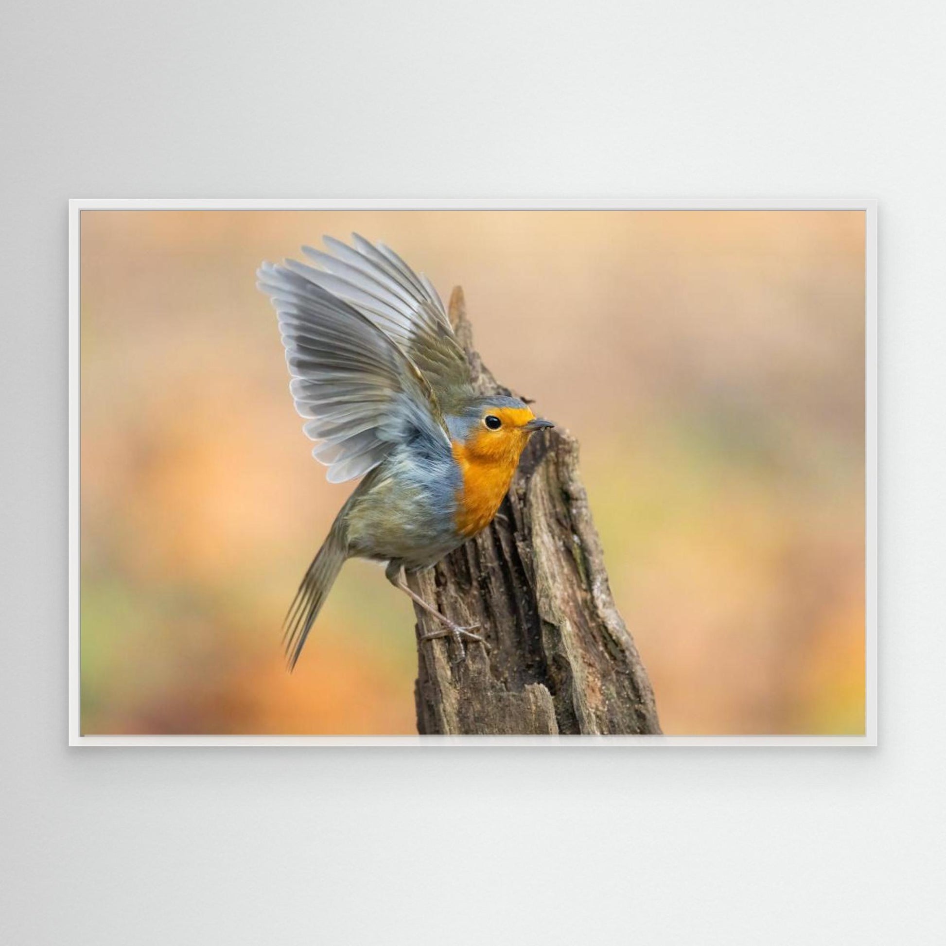 Open Wings by Massimo Chiodini