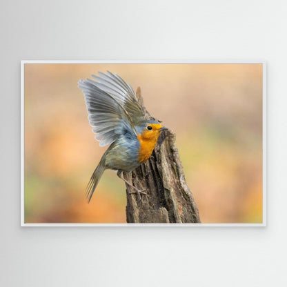 Open Wings by Massimo Chiodini