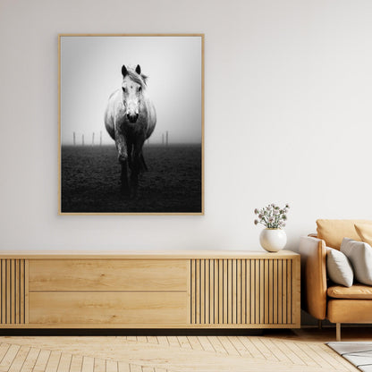 Confidence by Christophe Staelens