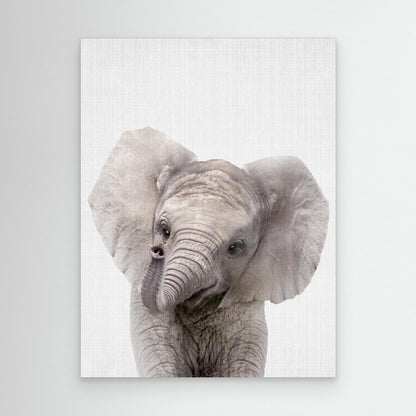 Peekaboo Baby Elephant by Lola Peacock