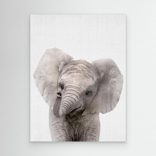 Peekaboo Baby Elephant by Lola Peacock