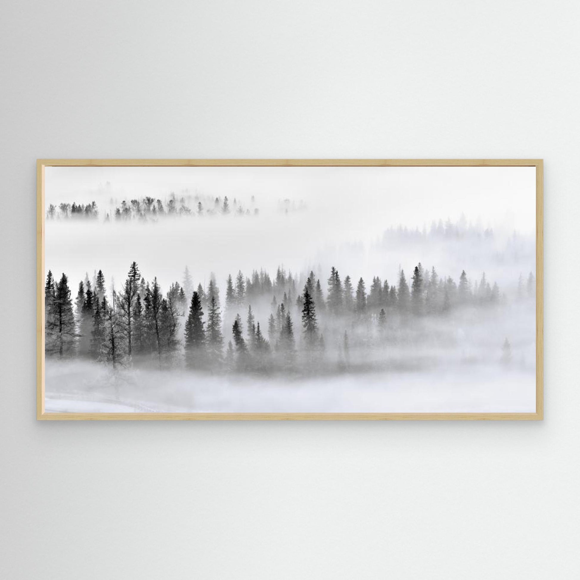 Foggy Forest by Mei Xu