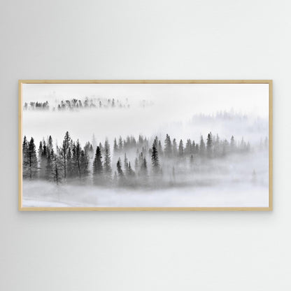 Foggy Forest by Mei Xu