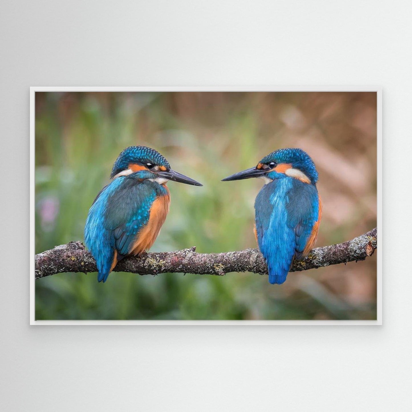 Sharing the perch by Kieran O Mahony