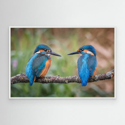 Sharing the perch by Kieran O Mahony