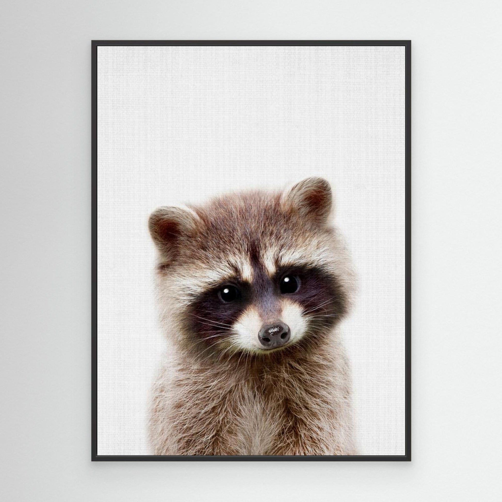 Peekaboo Raccoon by Lola Peacock