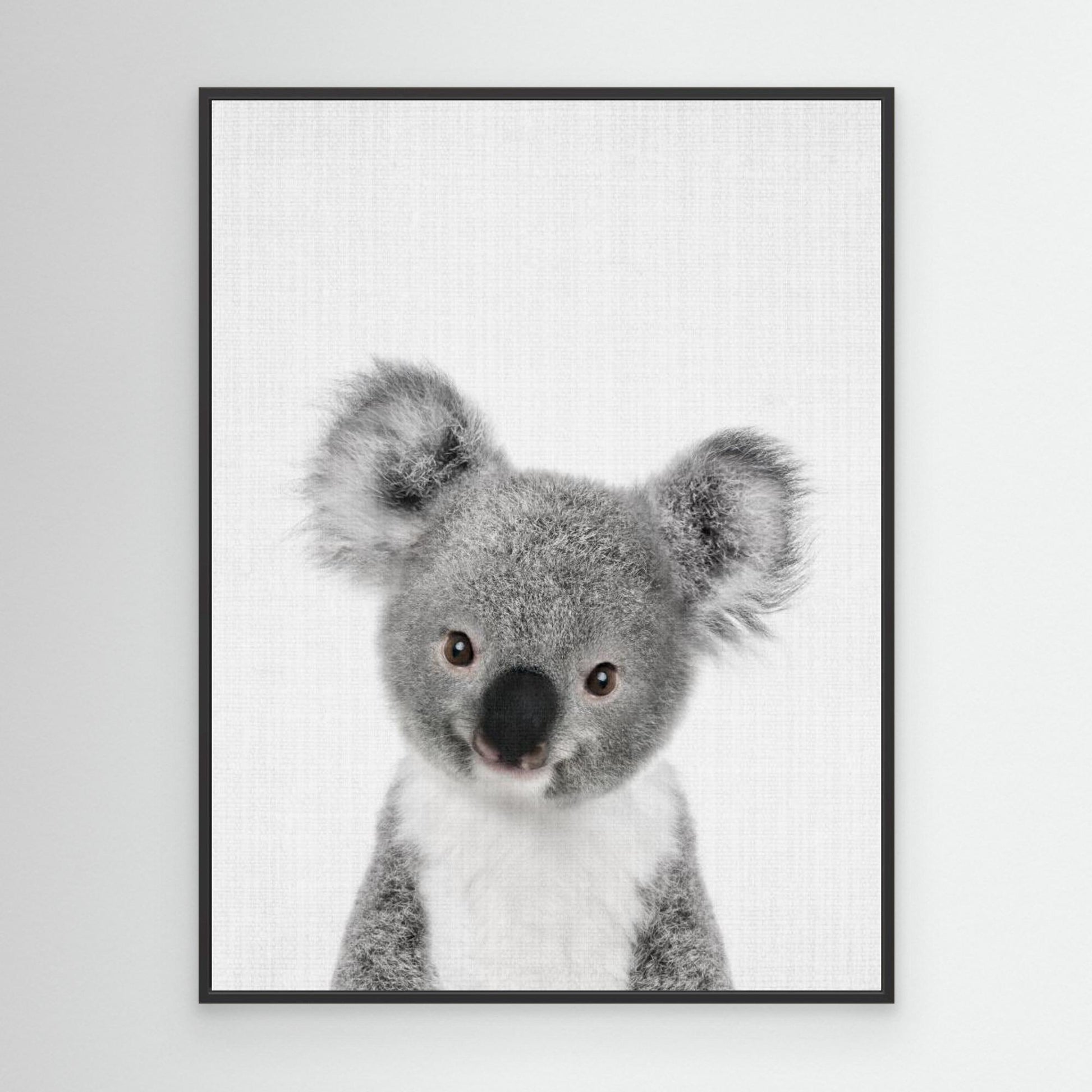 Peekaboo Baby Koala by Lola Peacock