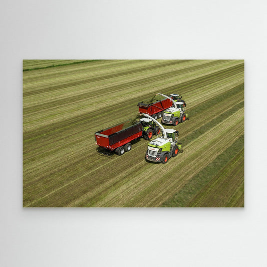 Claas Jaguar 960 Krampe Rambody750