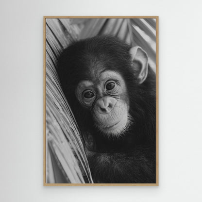 Young chimpanzee by Treechild