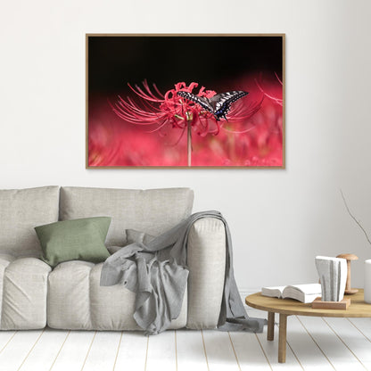 Perches gracefully by Takashi Suzuki