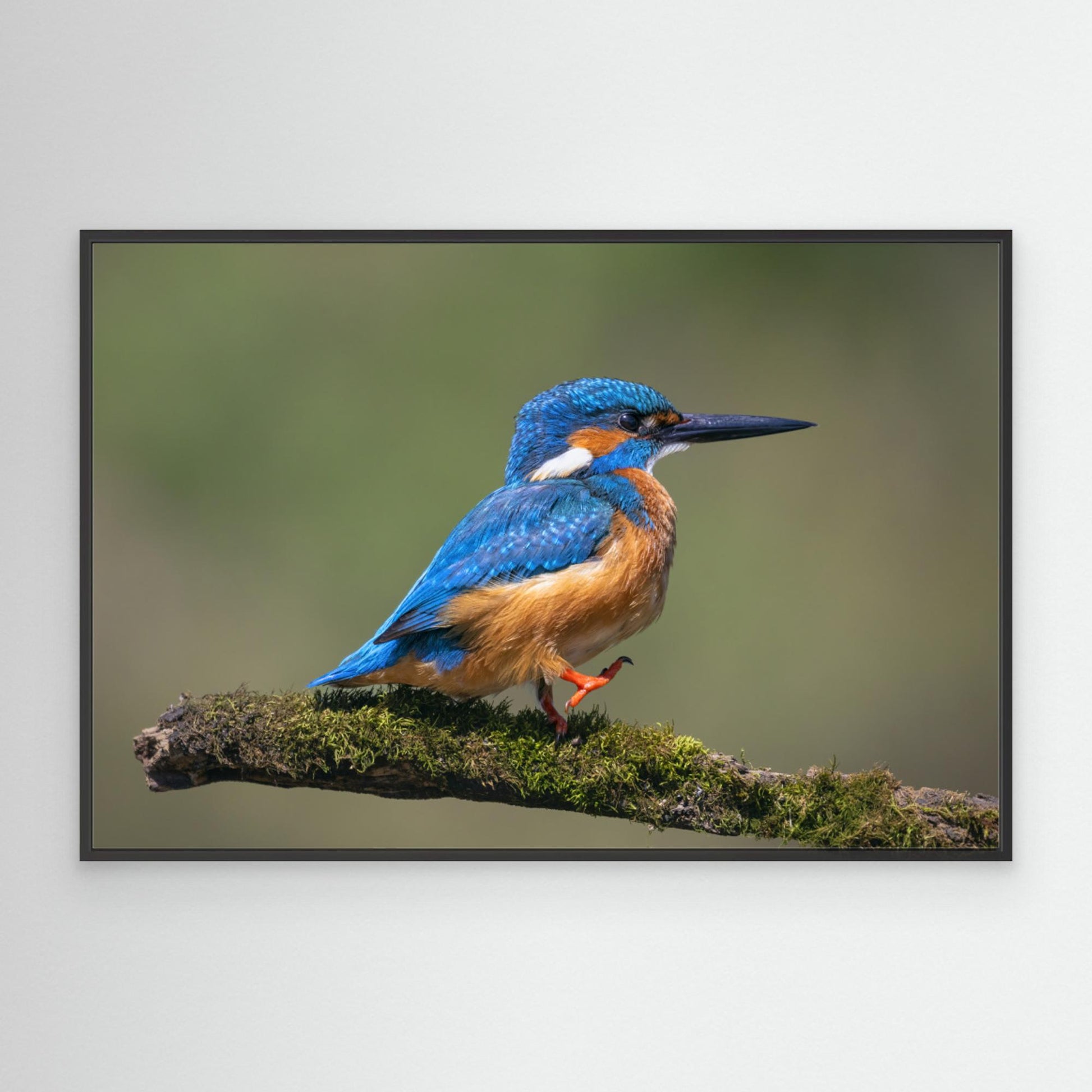 Left, right, left, right ... by Tony Goran