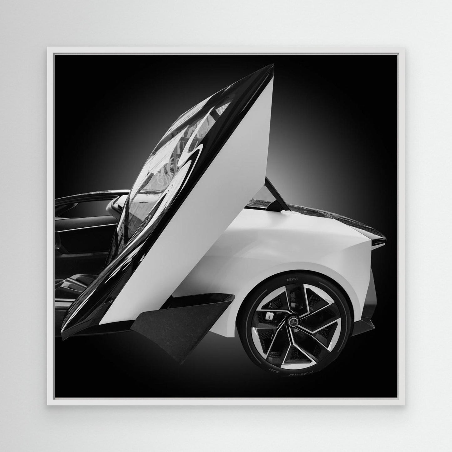 LoTuS by Konglingming