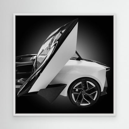 LoTuS by Konglingming