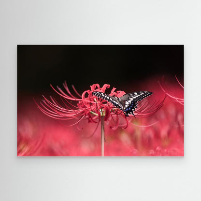 Perches gracefully by Takashi Suzuki