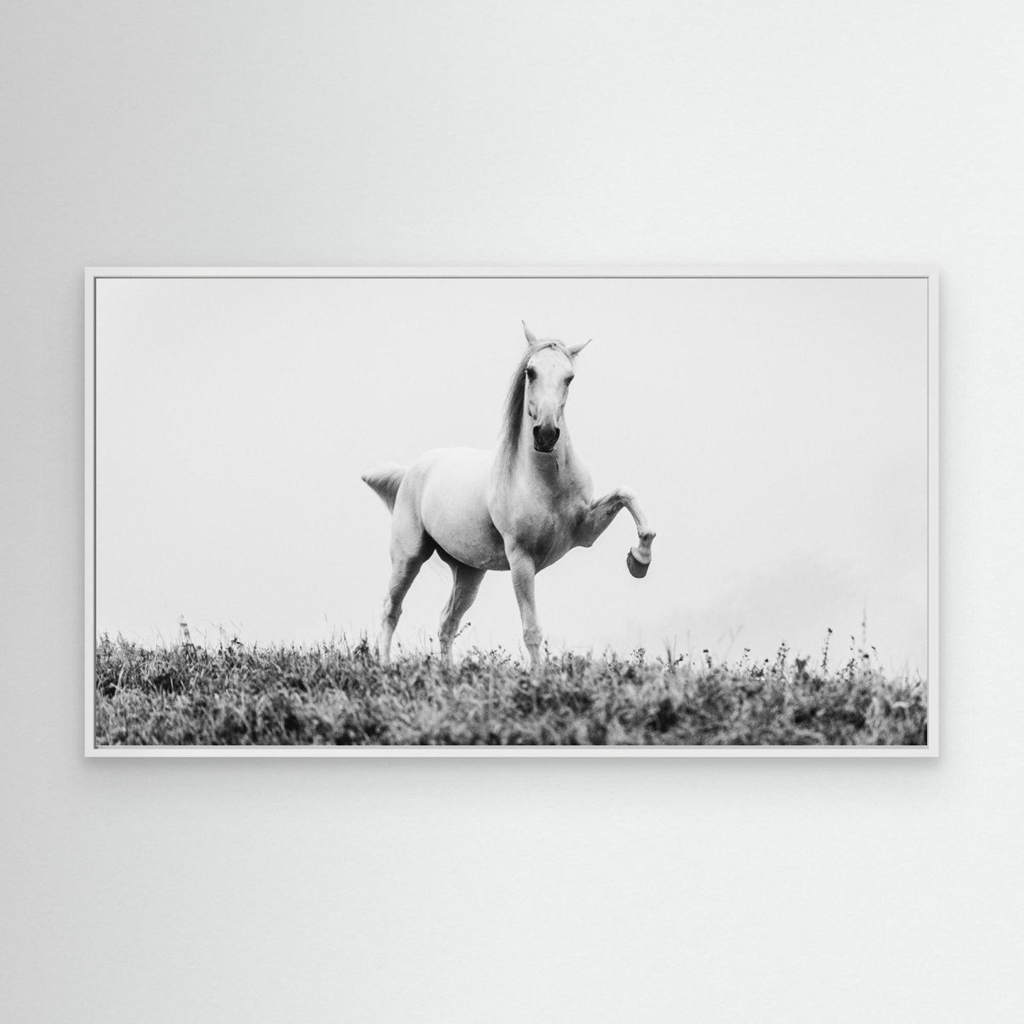 a short story about white beauty by Cembrzynski Ignacy