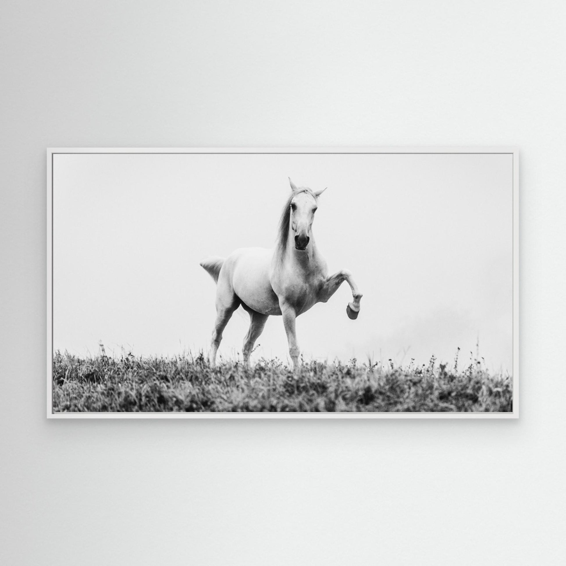 a short story about white beauty by Cembrzynski Ignacy