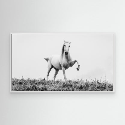 a short story about white beauty by Cembrzynski Ignacy