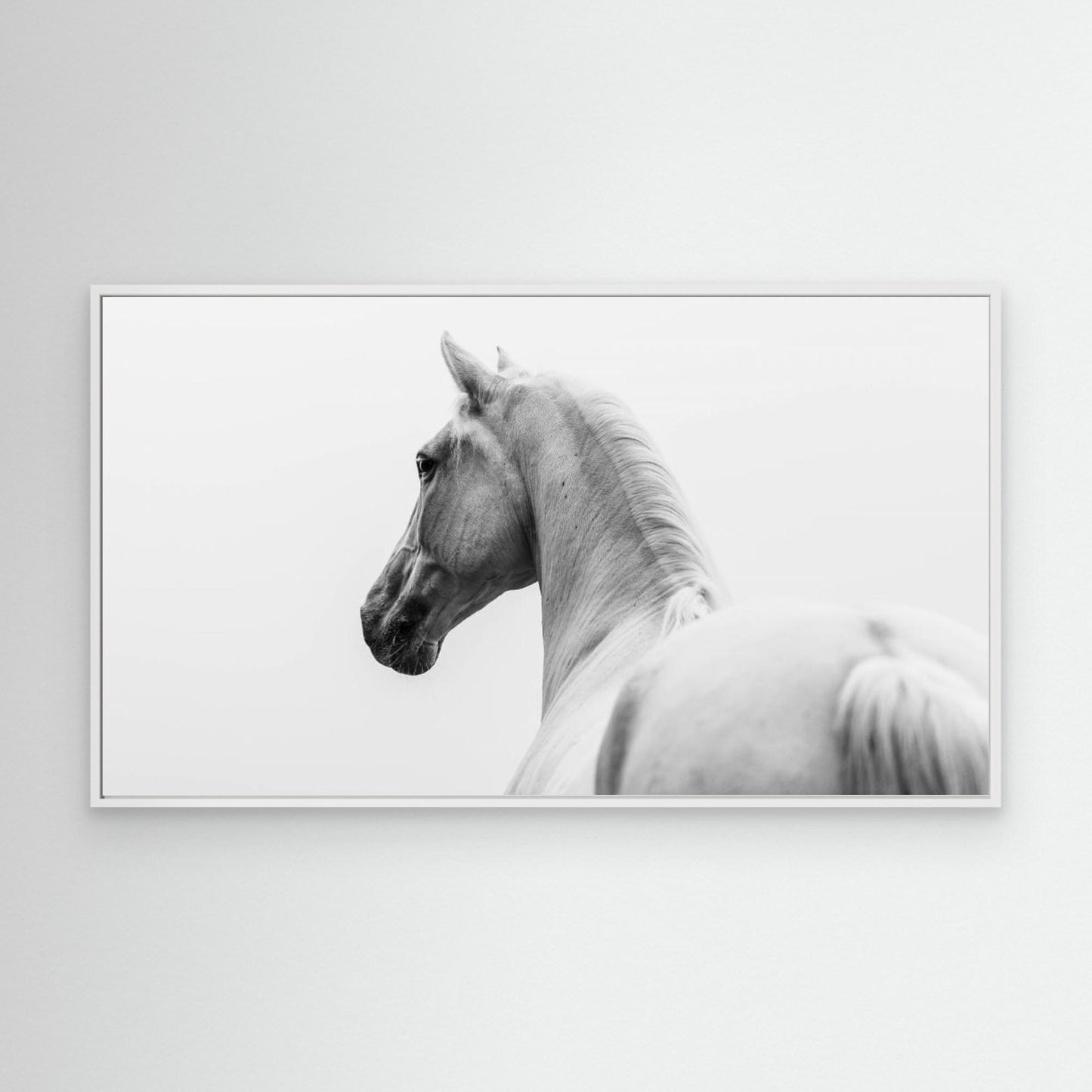 a short story about a shorn horse by Cembrzynski Ignacy