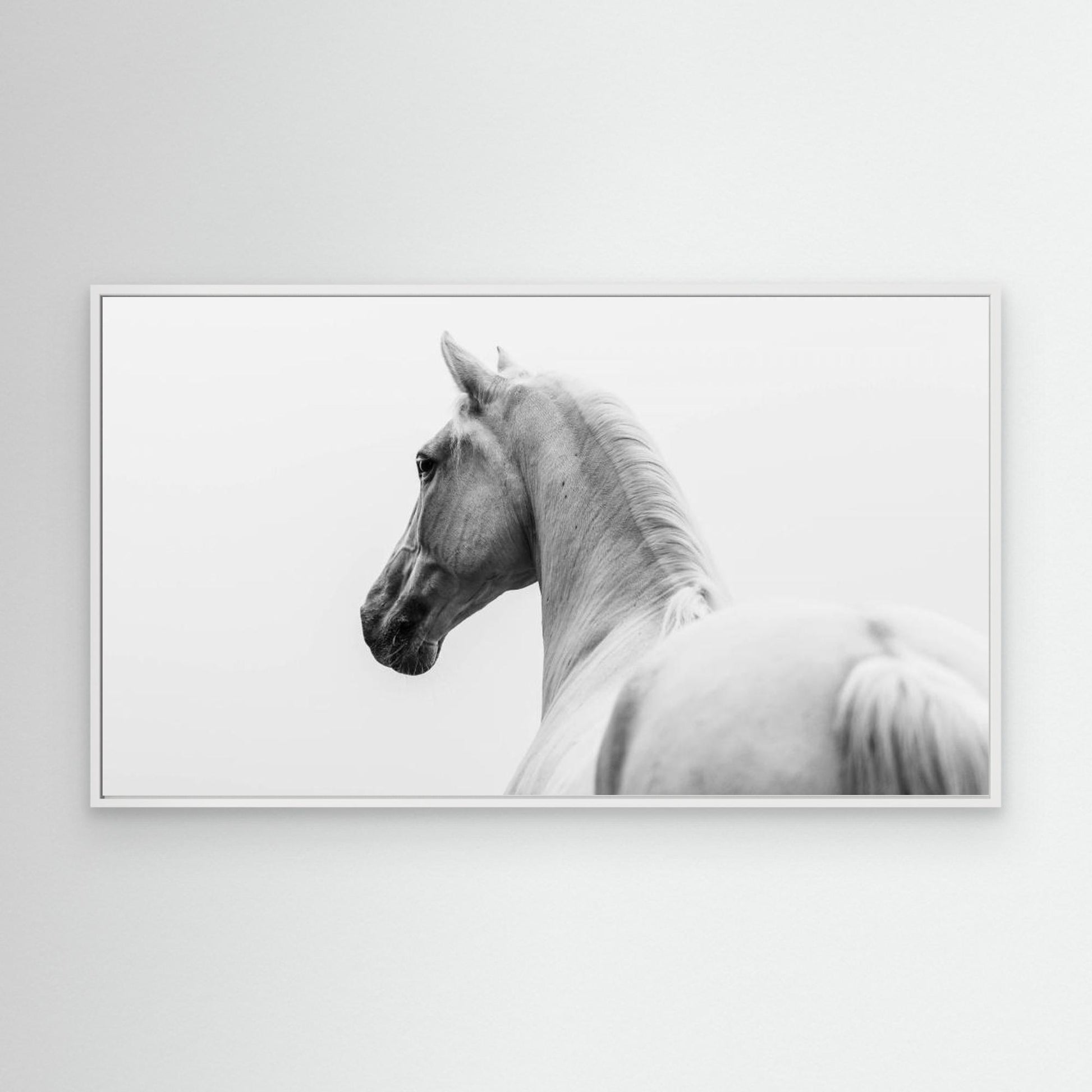 a short story about a shorn horse by Cembrzynski Ignacy