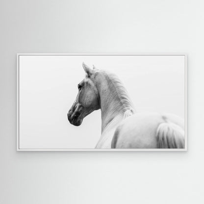 a short story about a shorn horse by Cembrzynski Ignacy