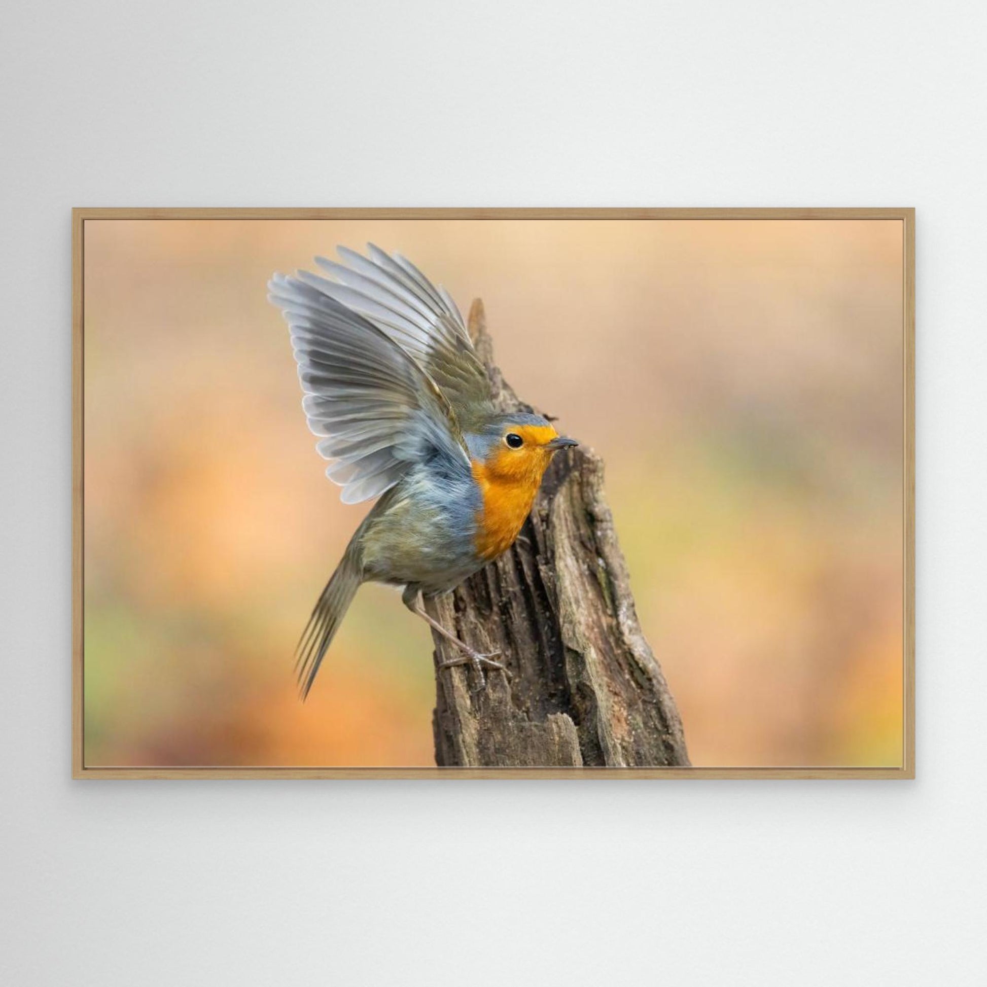 Open Wings by Massimo Chiodini