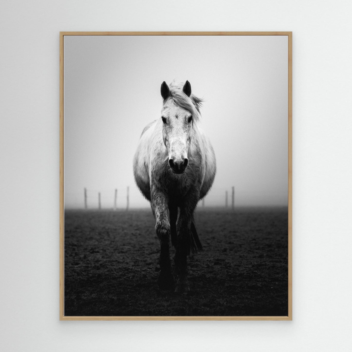 Confidence by Christophe Staelens