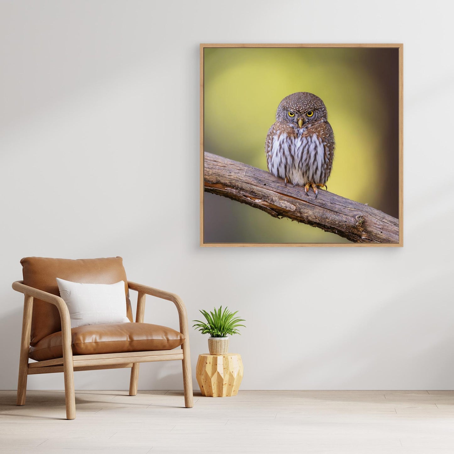 N/A by Taksing (吉星高照)