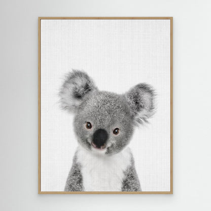 Peekaboo Baby Koala by Lola Peacock