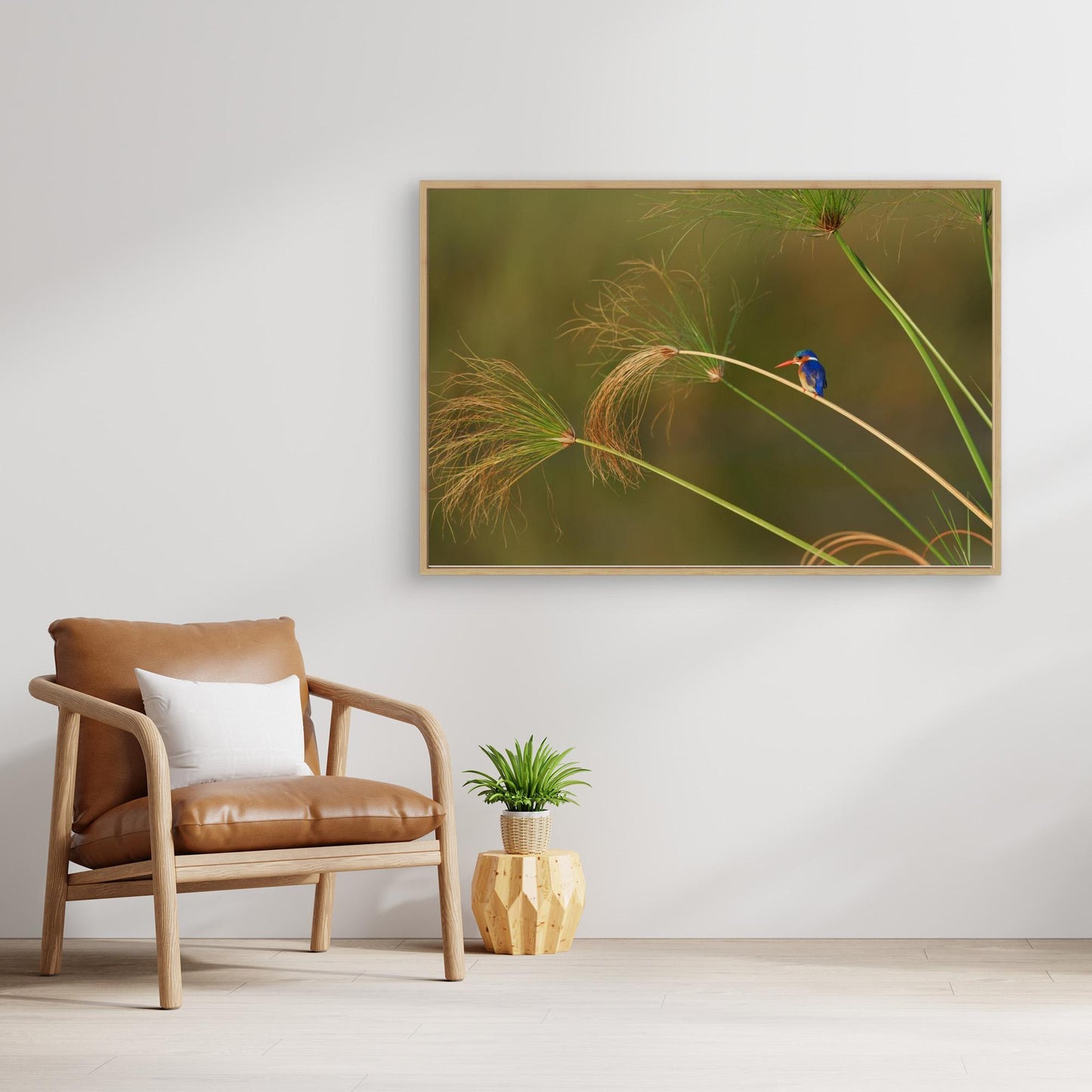 Vibrant Perch: Malachite Kingfisher Among the Reeds by Etienne Steenkamp