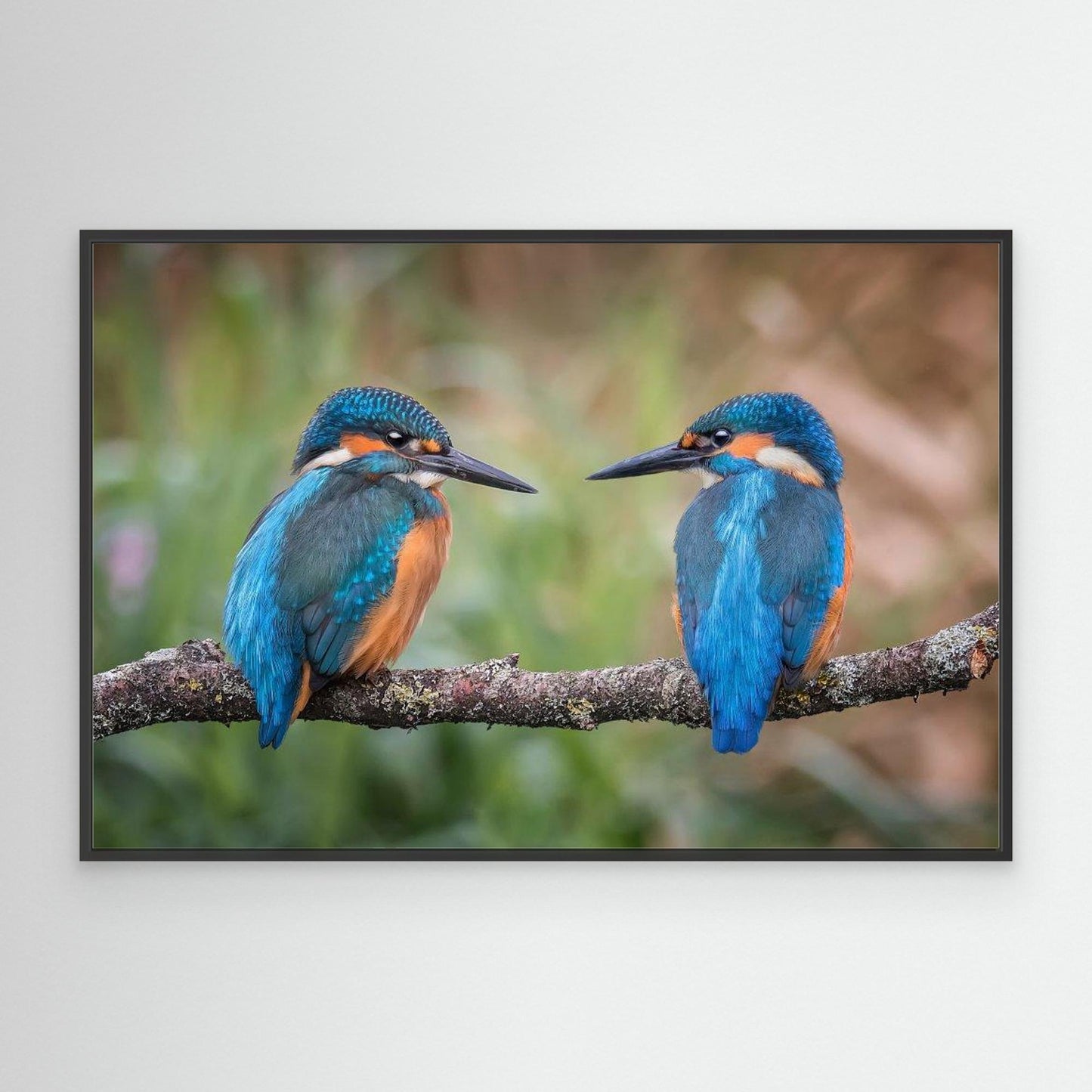 Sharing the perch by Kieran O Mahony