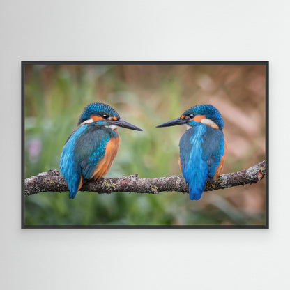 Sharing the perch by Kieran O Mahony