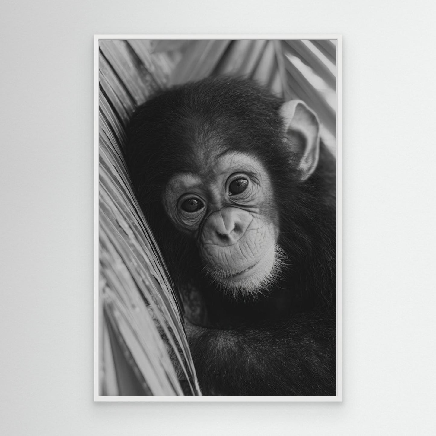 Young chimpanzee by Treechild