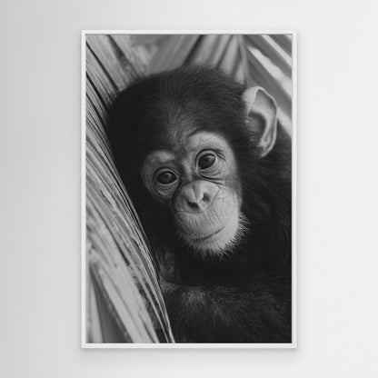 Young chimpanzee by Treechild