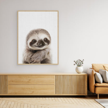 Peekaboo Baby Sloth by Lola Peacock