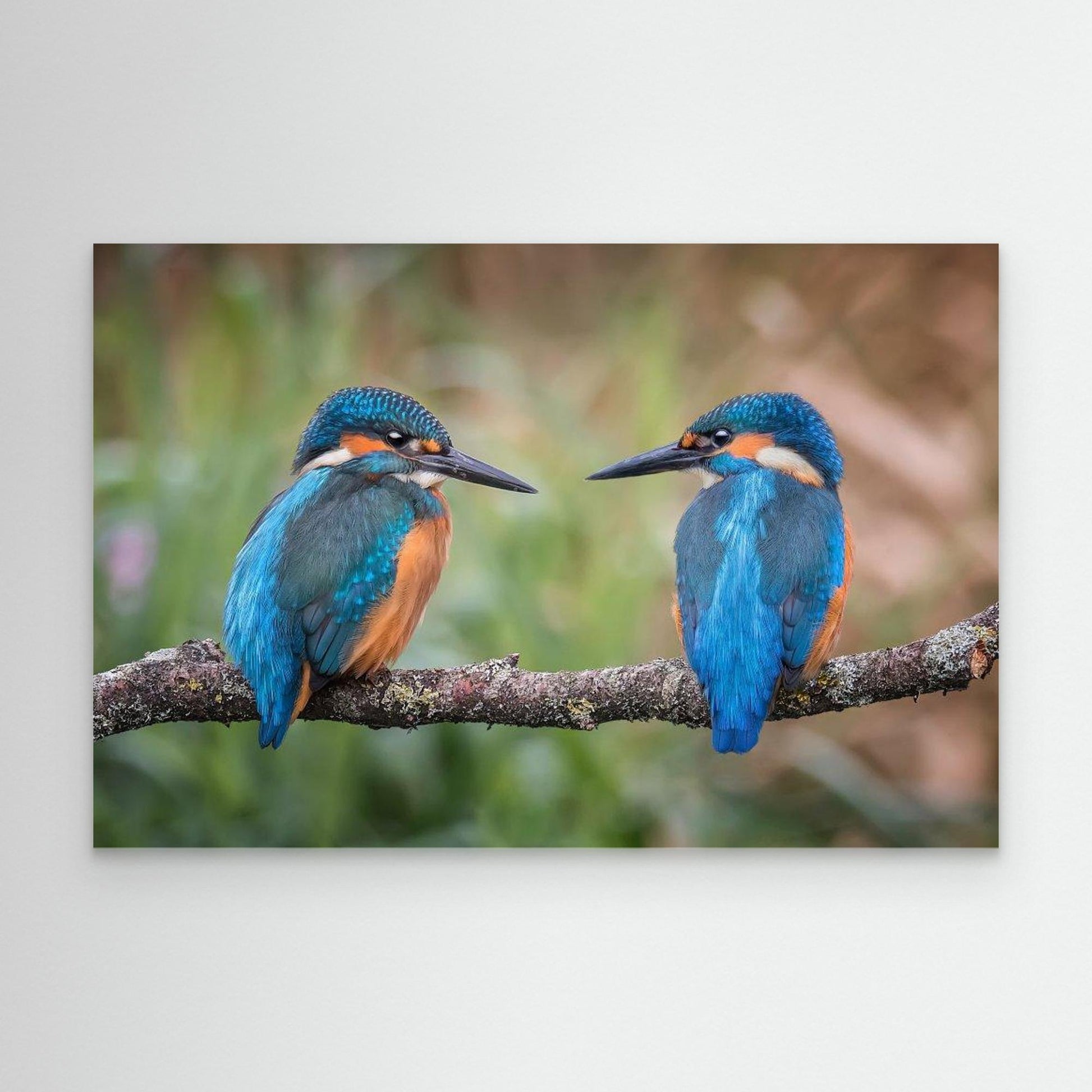 Sharing the perch by Kieran O Mahony