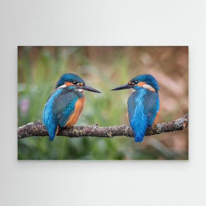 Sharing the perch by Kieran O Mahony