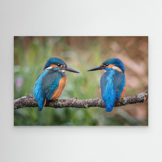 Sharing the perch by Kieran O Mahony